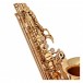 Odyssey OAS130 Debut Alto Saxophone