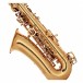 Odyssey OAS130 Debut Alto Saxophone