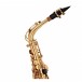 Odyssey OAS130 Debut Alto Saxophone