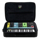 Moog Matriarch, with Case