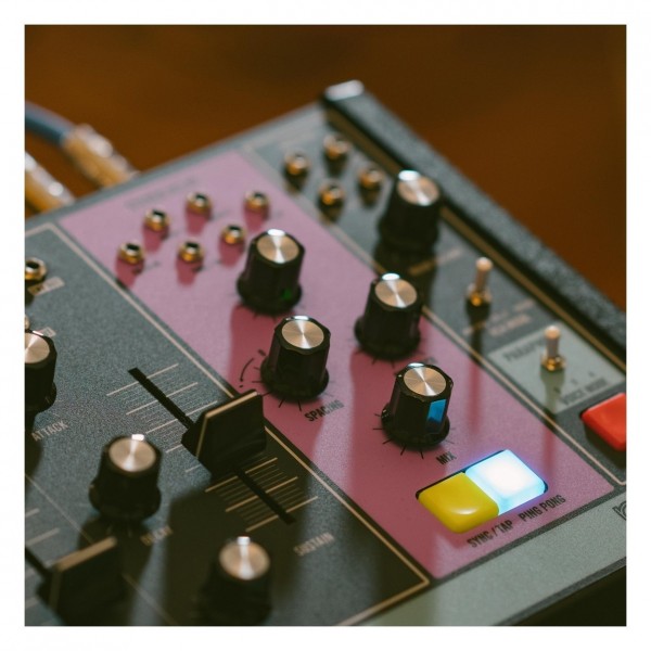 Moog Matriarch Paraphonic Analog Synth - Detail