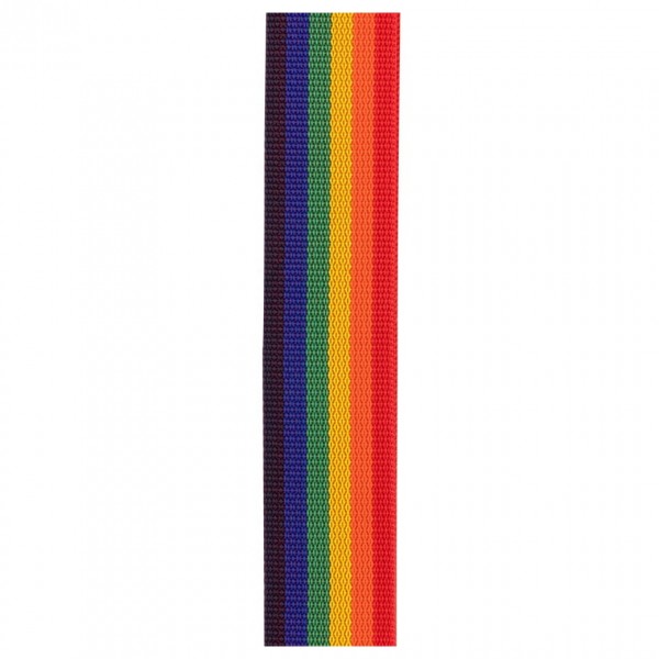 D'Addario Auto Lock Polypro Guitar Strap, Rainbow 1