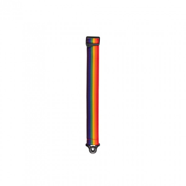 D'Addario Auto Lock Polypro Guitar Strap, Rainbow 2