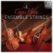 Best Service Chris Hein Ensemble Strings Plug-In - Box Art