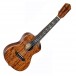 Ortega Elite Series Electro-Acoustic Concert Ukulele, Acacia Natural