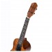 Ortega Elite Series Electro-Acoustic Concert Ukulele, Acacia Natural body