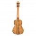 Ortega Elite Series Electro-Acoustic Concert Ukulele, Spalted Natural 2