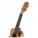 Ortega Elite Series Electro-Acoustic Concert Ukulele, Spalted Natural 3