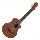 Ibanez EWP14WB Piccolo Guitar, Open Pore Natural
