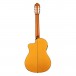 Ortega Traditional Series Thinline Electro Acoustic, Natural back