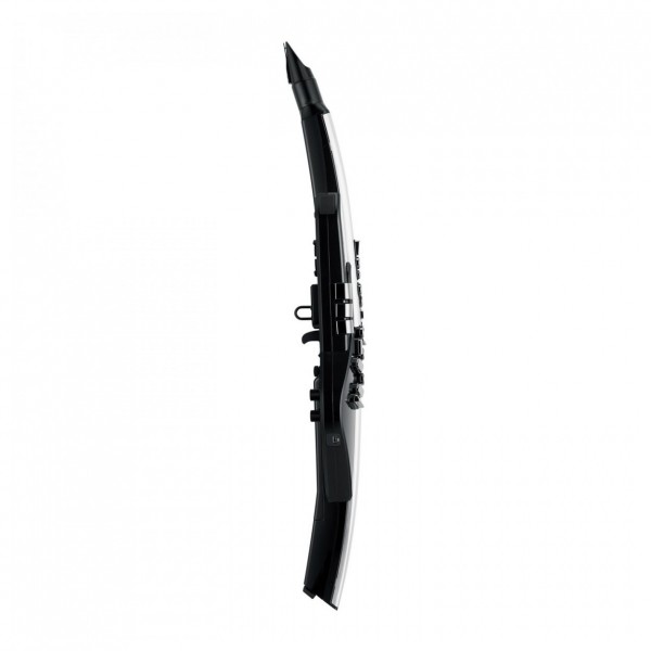 Roland AE-30 Aerophone - Side