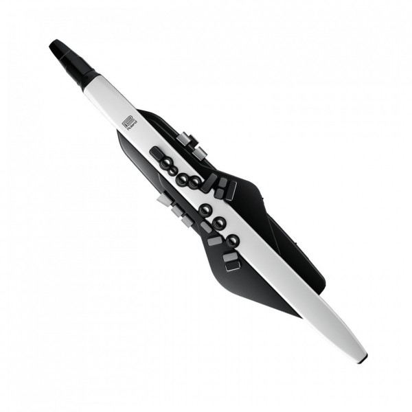 Roland Aerophone AE-20