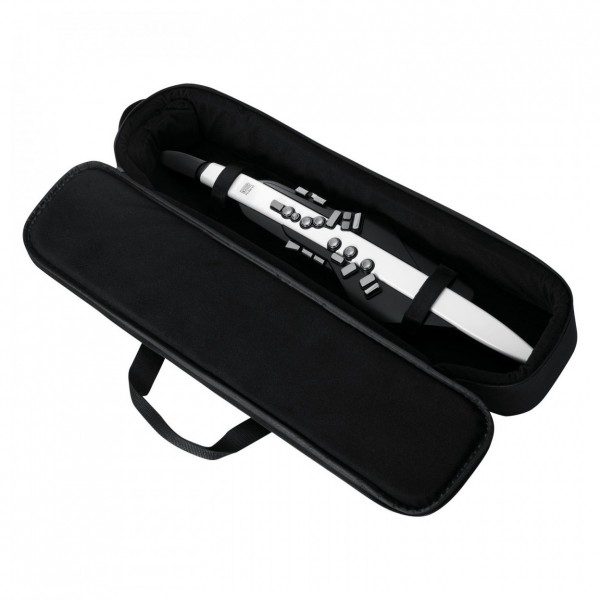 Roland Aerophone AE-20 - In Case