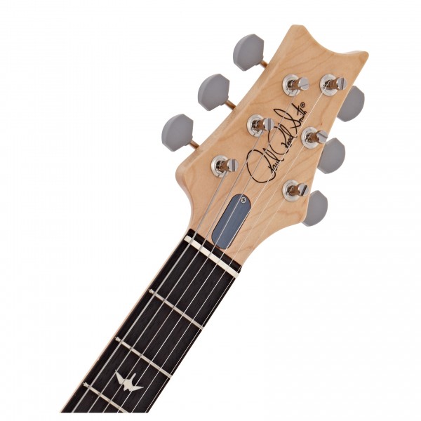 PRS Silver Sky RW, Frost #0340685