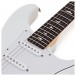 PRS Silver Sky RW, Frost #0340685