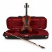 Eastman Concertante Antiqued Violin Outfit with Gold Level Set Up