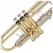 B&S Challenger 2 Trumpet, 37 Bell, Gold Lacquer