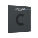Thomastik Dominant Pro Viola C String, 4/4