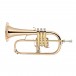 B&S Challenger 1 Flugel Horn, Gold Brass Bell