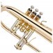 B&S Challenger 1 Flugel Horn, Gold Brass Bell