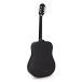 Epiphone Starling Acoustic Player Pack, Ebony