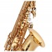 Yamaha YAS82Z Custom Professional Z Alto Saxophone, Gold
