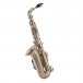 Trevor James Horn 88 Alto Saxophone, Brushed Gold