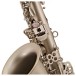 Trevor James Horn 88 Alto Saxophone, Brushed Gold