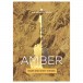 UJAM Virtual Guitarist Amber - Packaging