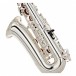 Conn-Selmer DAS180S Avant Alto Sax, Silver