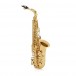 Trevor James Brooklyn Classic II Alto Saxophone