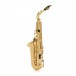 Trevor James Brooklyn Classic II Alto Saxophone