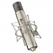 WACX12 Condenser Microphone - Angled with mount