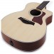 Taylor 214ce-QS DLX LTD