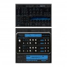Rob Papen RP-VERB 2 & RP-Delay Bundle