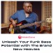 MusicGurus Learn Funk Bass with The Brand New Heavies