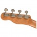 Fender Zuma Exotic Concert Ukulele, Bocote neck