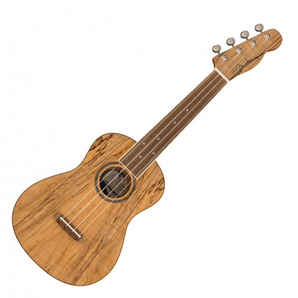 Fender Zuma Exotic Concert Ukulele, Spalted Maple