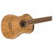 Fender Zuma Exotic Concert Ukulele, Spalted Maple close