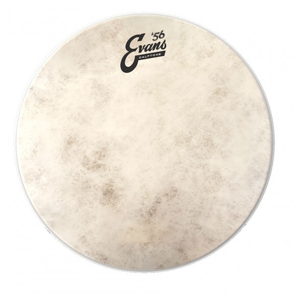 Evans TuneUp Kit, Calftone - Batter Head