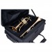 Jupiter 1100 Series Trumpet & Flugelhorn Set with Double Case - Detail 1