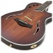 Taylor T5z Custom Electro Acoustic