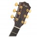 Taylor T5z Custom Electro Acoustic