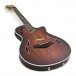 Taylor T5z Custom Electro Acoustic