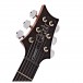 PRS Custom 24, Purple Iris #0342234
