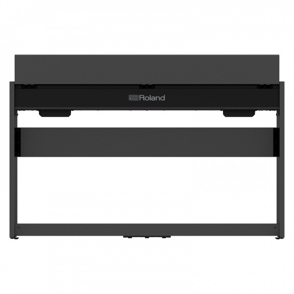 Roland F107 - Rear