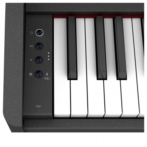 Roland F107 - Panel