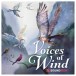 Soundiron Voices Of Wind Collection