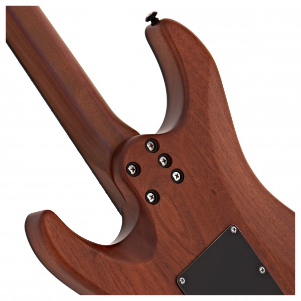 Schecter C-1 Exotic Trem, Ebony