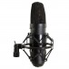 2030A Condenser Microphone, Black - Side with Shock Mount